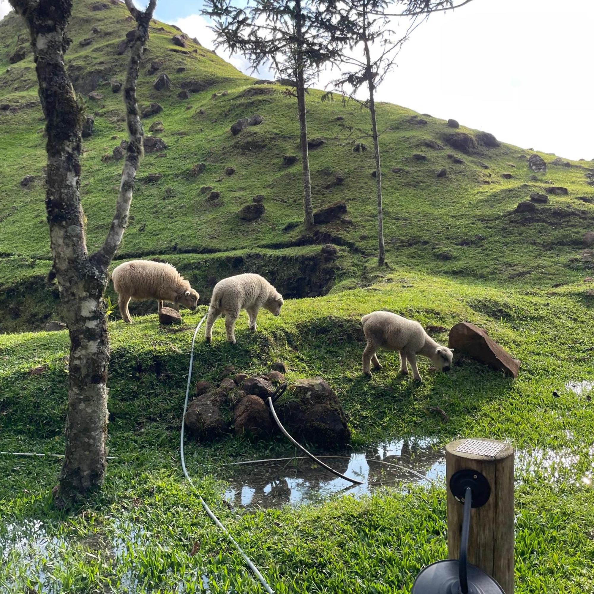 Cabana Efatah - Pousada Colina Dos Ventos Urubici Dış mekan fotoğraf
